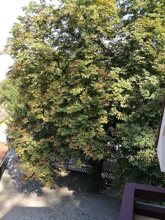 Apartment Belaj Целе Экстерьер фото